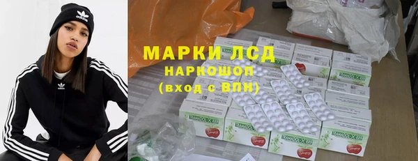 стаф Алексин