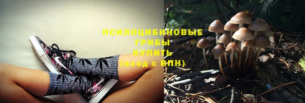 PSILOCYBIN Алексеевка