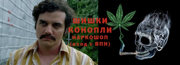 PSILOCYBIN Алексеевка