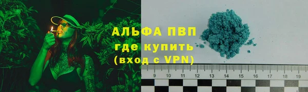 стаф Алексин