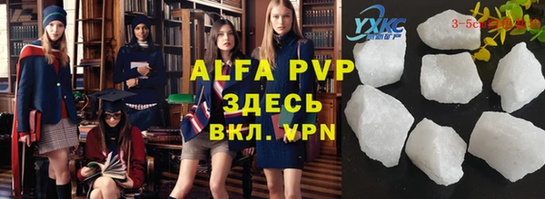 стаф Алексин