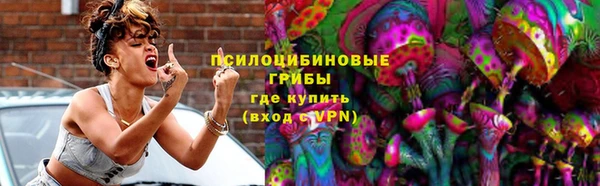 стаф Алексин