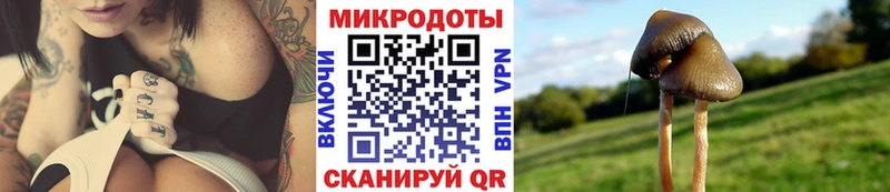 Псилоцибиновые грибы прущие грибы  Ардатов 